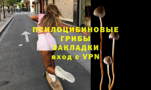 герыч Арсеньев