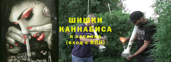 герыч Арсеньев