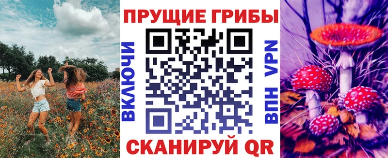 Псилоцибиновые грибы Cubensis  KRAKEN ссылка  Чадан 