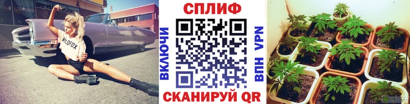 даркнет сайт  Чадан  Бошки марихуана Bruce Banner 